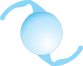 lens_pro_img