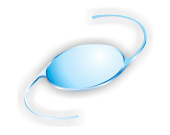 lens_pro_img